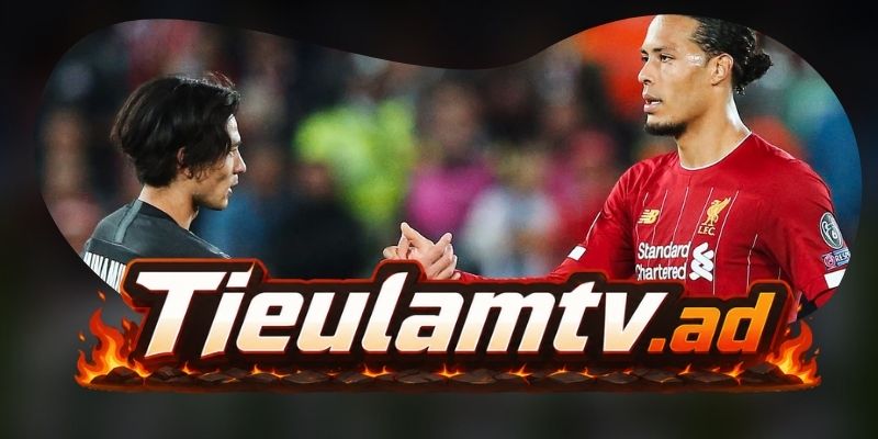 Gợi ý chốt kèo tổng hợp trận Brentford vs Liverpool ngày 17/10